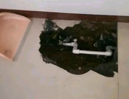 怀远卫生间测漏水多少钱